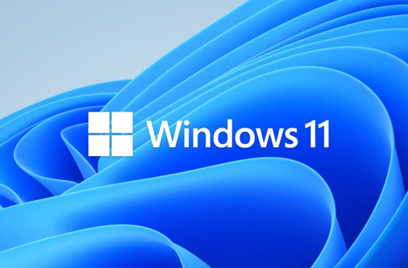 Windows 11